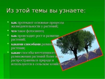 Современному человеку нужны знания о жизнедеятельности растений