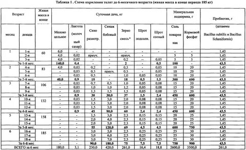 Сколько раз в день поить телят