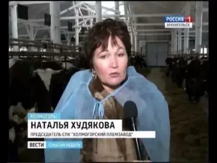 Холмогорский племзавод