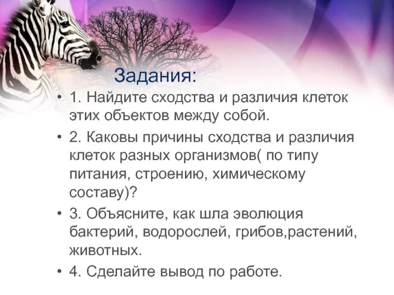Как шла эволюция бактерий животных растений