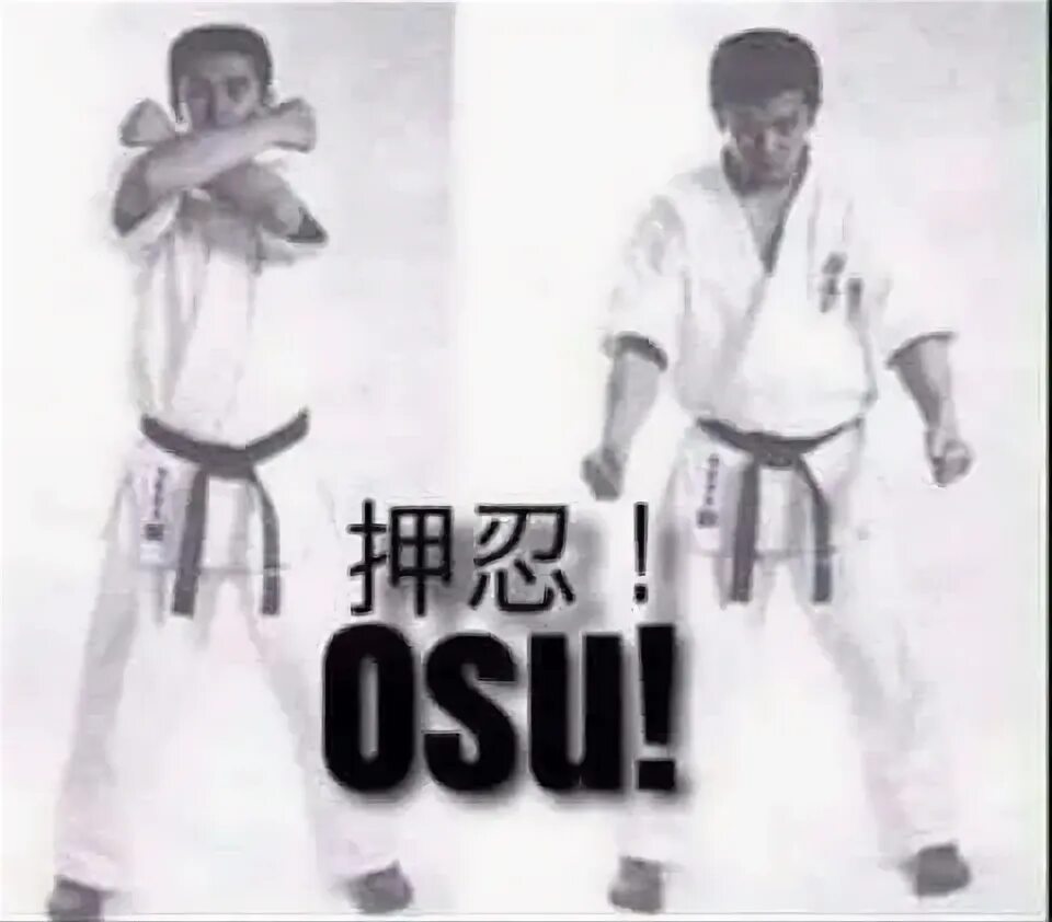 Рей в дзюдо. Тхэквондо поклон. Дружина каратэ. Осу каратэ. Уракен шонмей.