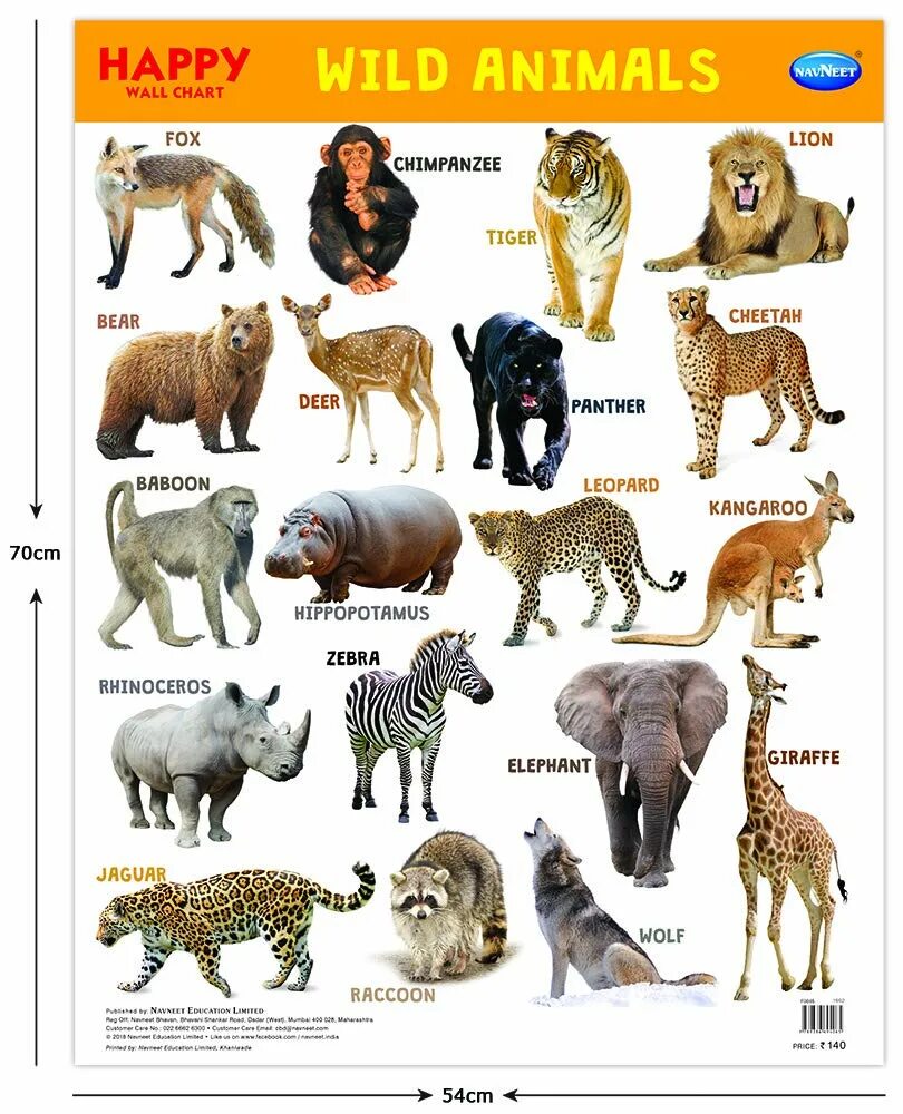 Wild Chart. Wild animal names. The animals. Wild animals book.