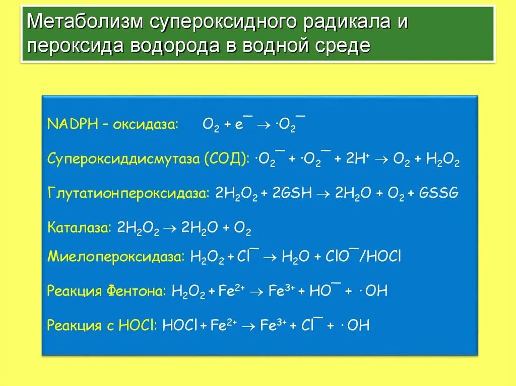 Супероксиданион-радикала, пероксид-радикала, перекиси водорода. Супероксид анион радикал и пероксидом водорода. Пероксид радикала пероксид водорода. Образование пероксида водорода. Возможные реакции пероксид водорода