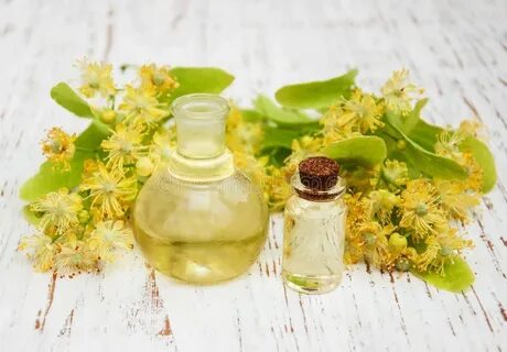 Цветки липы используют в парфюмерной промышленности