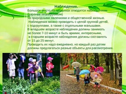 Организация наблюдений в детском саду