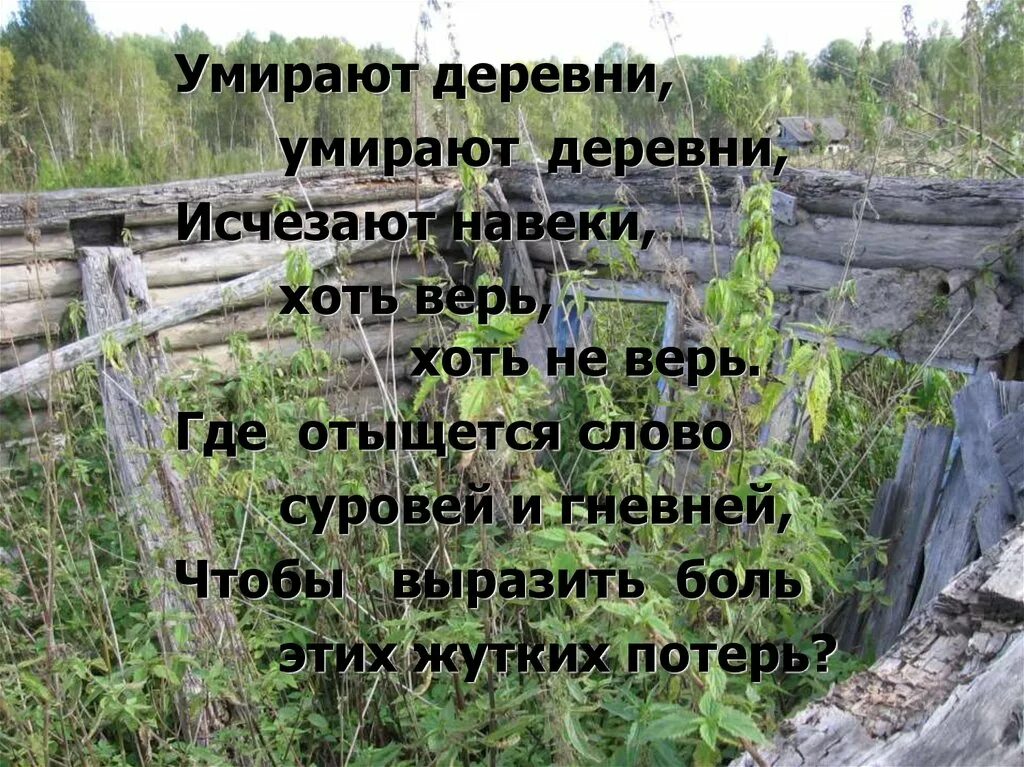 Фразы из деревни. Стихи про деревню. Стихи о заброшенных деревнях. Стихи про забытую деревню. Стихи о исчезнувших деревнях.