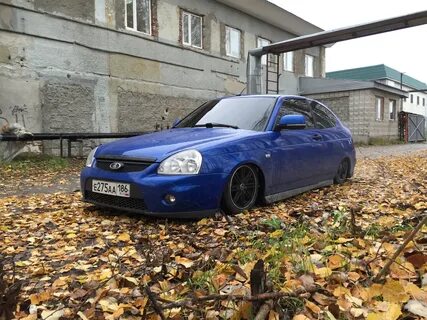 Приора мускари