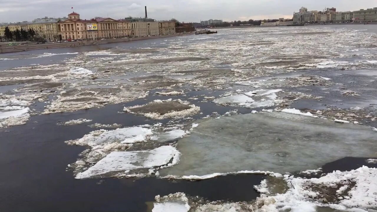 Ледоход на неве. Ледоход на Неве Питер. Весенний ледоход на Неве. Ладожский ледоход на Неве. Ладожское озеро ледоход.