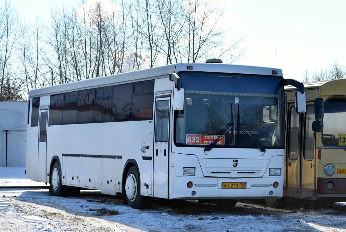 Нефаз 17 32. Ан 751 72 автобус лиаз. 36. Расписание автобусов тихорецк городские. Ан 751 72 автобус лиаз.