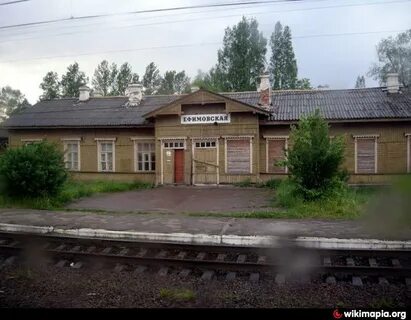 Деревня коли