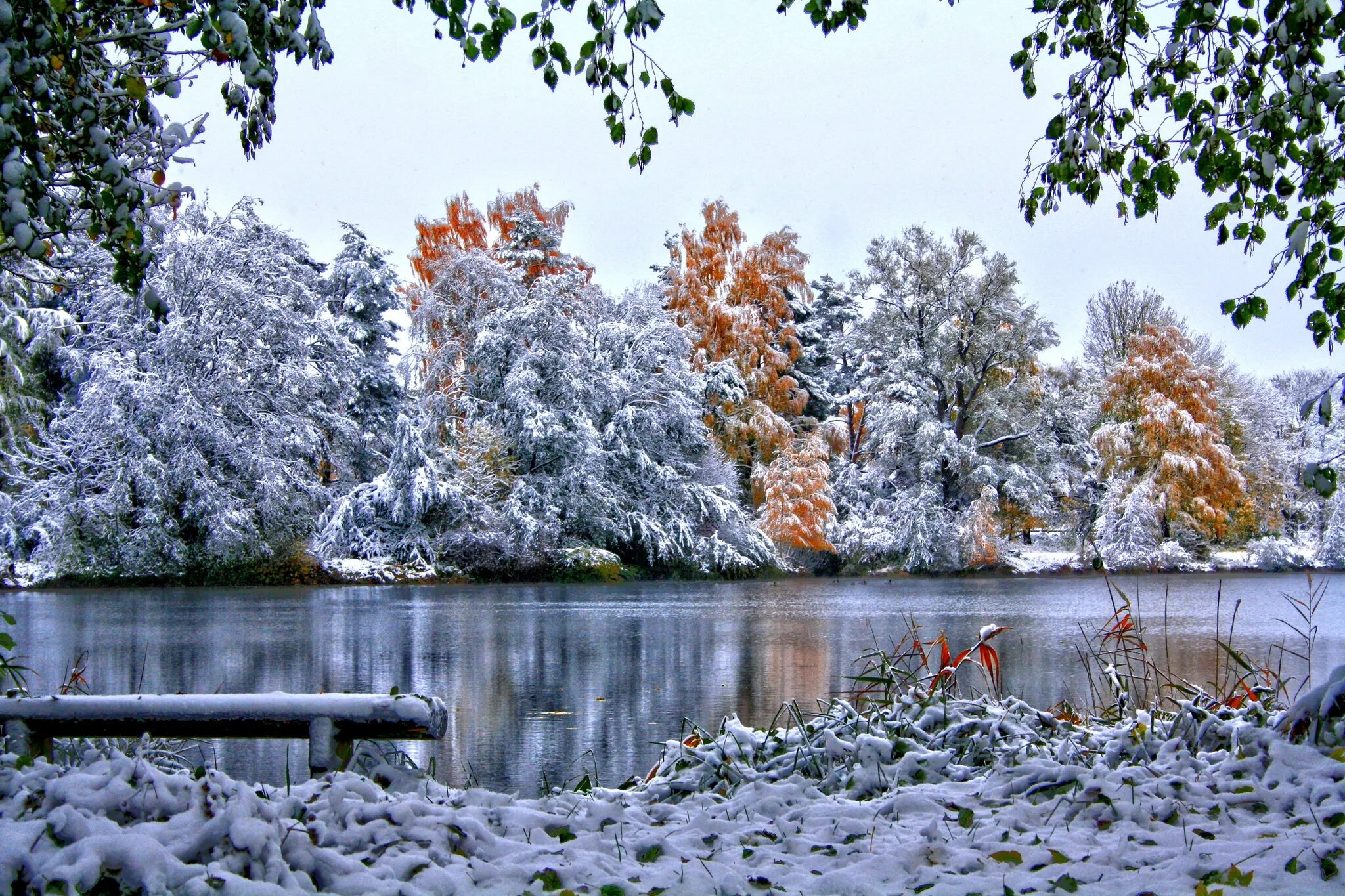 Заставка ноябрь. Ранняя зима. Зимний пейзаж. Ноябрь природа. Природа ранняя зима.