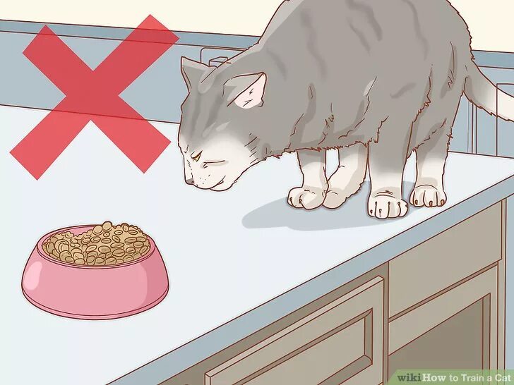 WIKIHOW кошки. Миска для кота. Как приманить кошку. Коты с мисками рисунок юмор. There isn t a cat