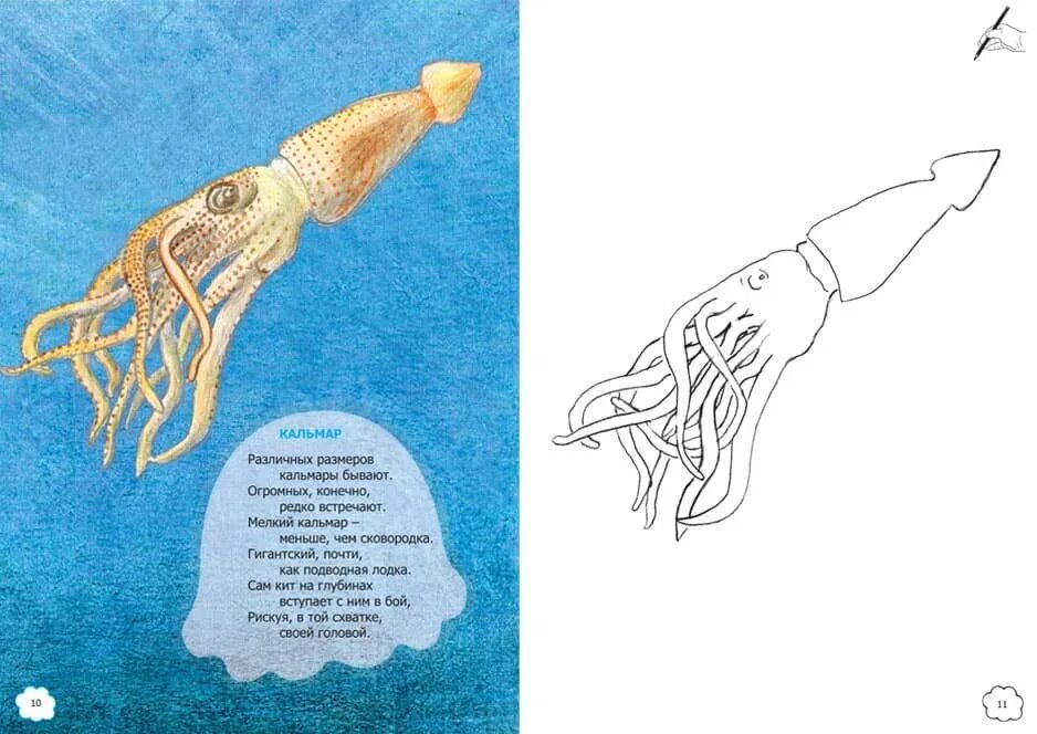Стихотворение про кальмара. Стишки про кальмара. Игра в кальмара открытка. Кальмар стихи для детей. Игра надо кальмара