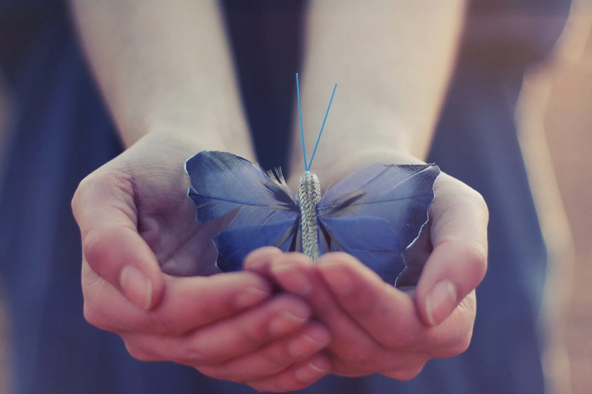 На руку бабочка. Бабочка на ладони. Счастье бабочки. Бабочка в ладошках. Бабочка поэтиного сердца