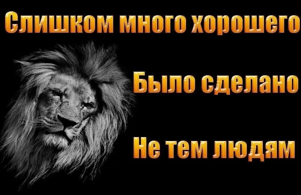 Сколько добра не делай. Не делай добра. Немю делай людям добра. Не делай людям добра не получишь. Не делай людям добро.