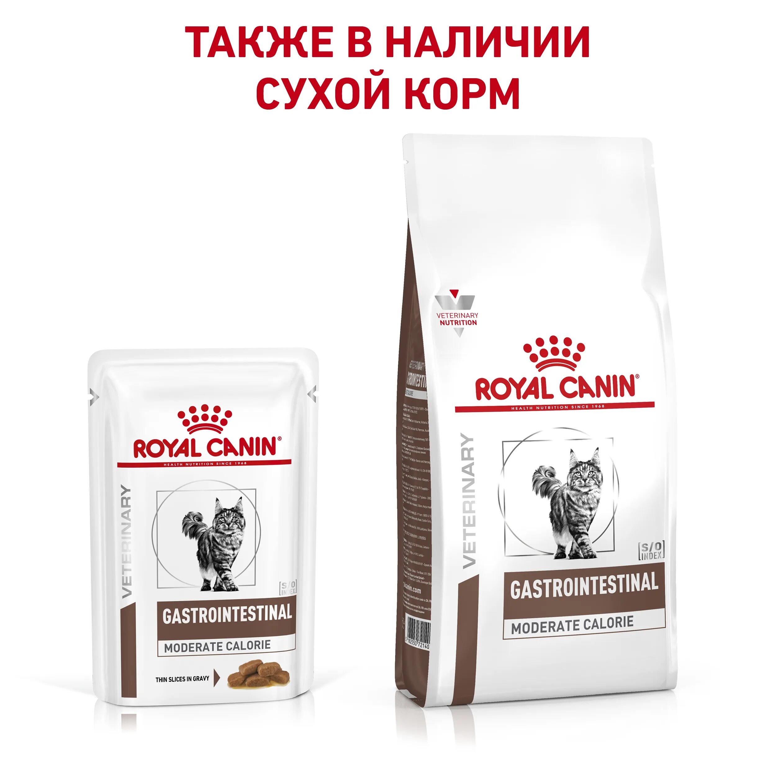 Royal canin gastrointestinal кошек. Роял Канин гастро Интестинал для кошек 400 гр. Гастро корм Роял Канин гастро Интестинал для кошек. Роял Канин гастро Интестинал для кошек сухой 2 кг. Корм Роял Канин для кошек гастро Интестинал сухой 400.