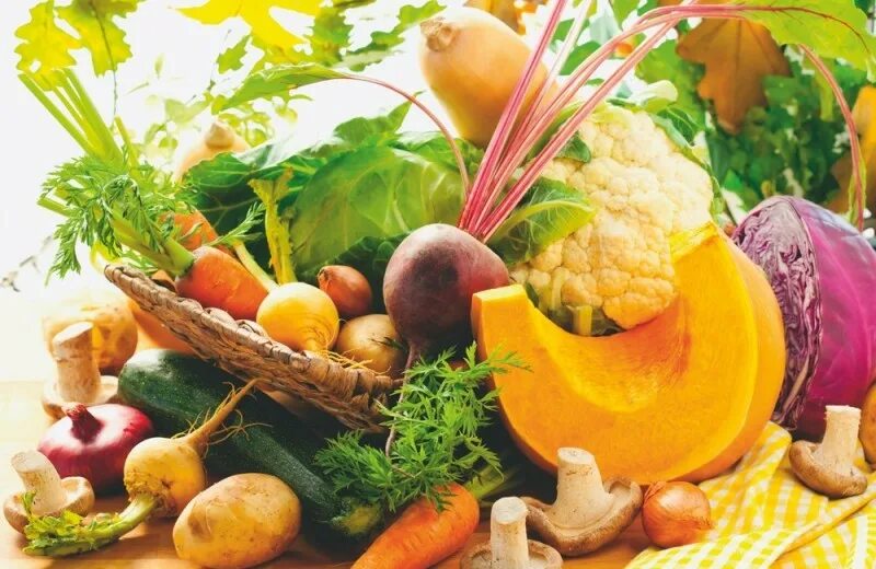 Осенние фрукты. Осенний урожай для презентации. Осенью хочется. Питание осенью. Осень овощи.