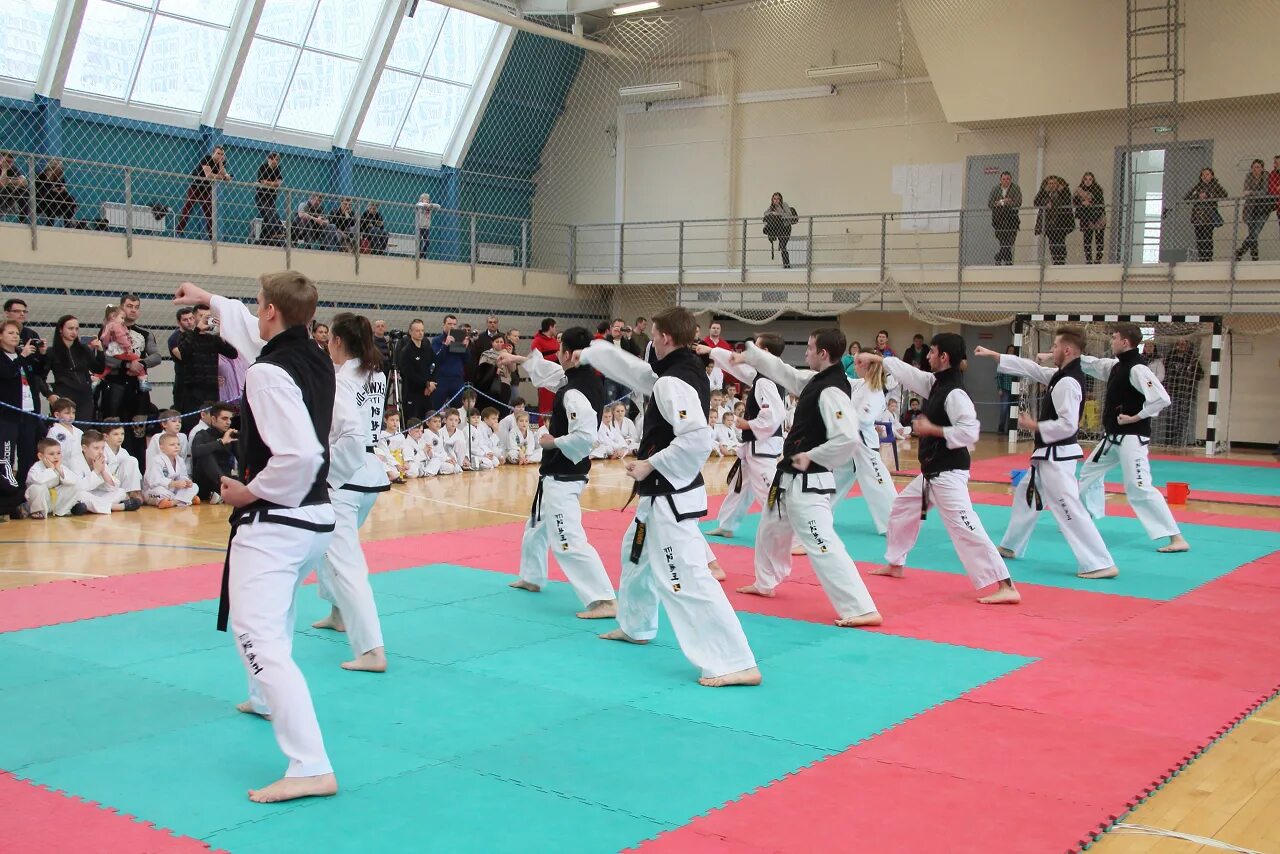 рукопашный бой дети. фок. фок тхэквондо. фок тхэквондо. тхэквондо gtf.