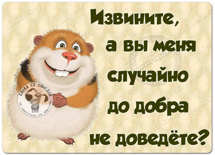 Добро весело. Позитивные статусы. Смешные позитивные статусы. Добрый юмор в картинках. Самый позитивный статус.