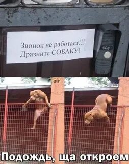 Подожди открыть