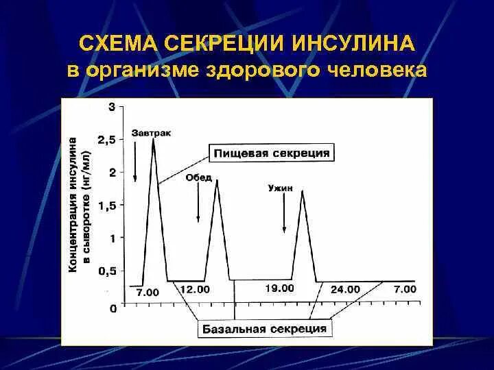 Уровня выработки инсулина. Фазы секреции инсулина. Прандиальная секреция инсулина. Глюкозозависимая секреция инсулина. Коэффициент секреции инсулина.