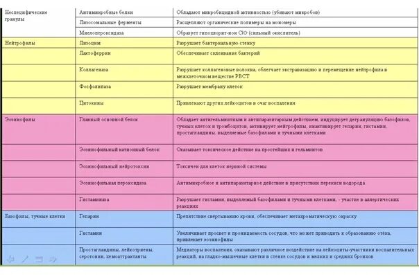 Репетитор по гистологии. Альбом по гистологии рниму. учебный план рниму стоматология.
