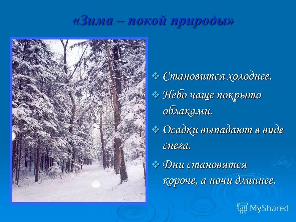 Зима спокойствие. Характерные черты зимы. Зимний покой примеры. Характерная черта зимнего покоя.