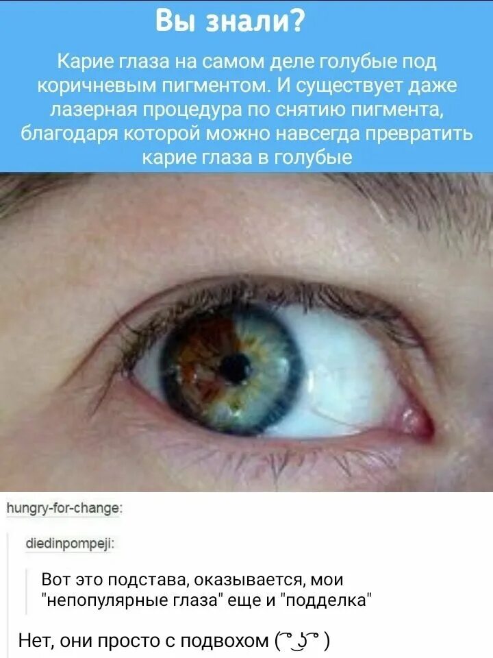 Голубые глаза под пигментом. Факты о карих глазах. интересные факты о голубых глазах.