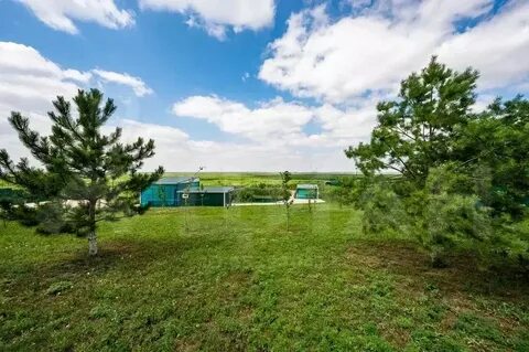 Редант краснодарский край