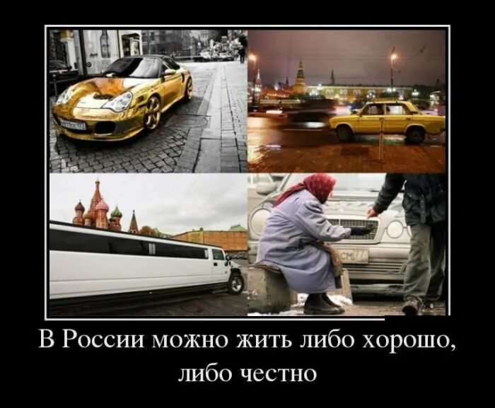 Можно живой