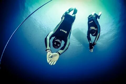 Включи dive in