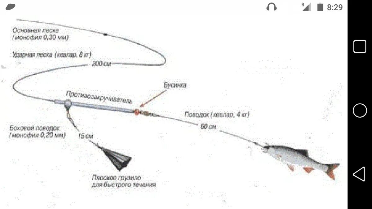 Донная оснастка на судака на течении. Донная оснастка на судака с живцом. Оснастка для ловли судака на живца с берега на донку. Схема оснащения донной удочки с живцом. Снасть для ловли живца