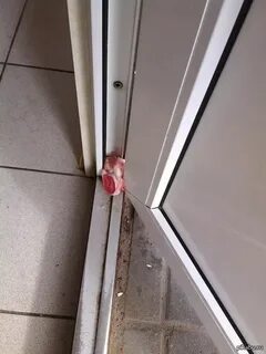 Дверь на пятах
