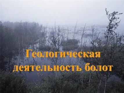 Хозяйственная деятельность болота