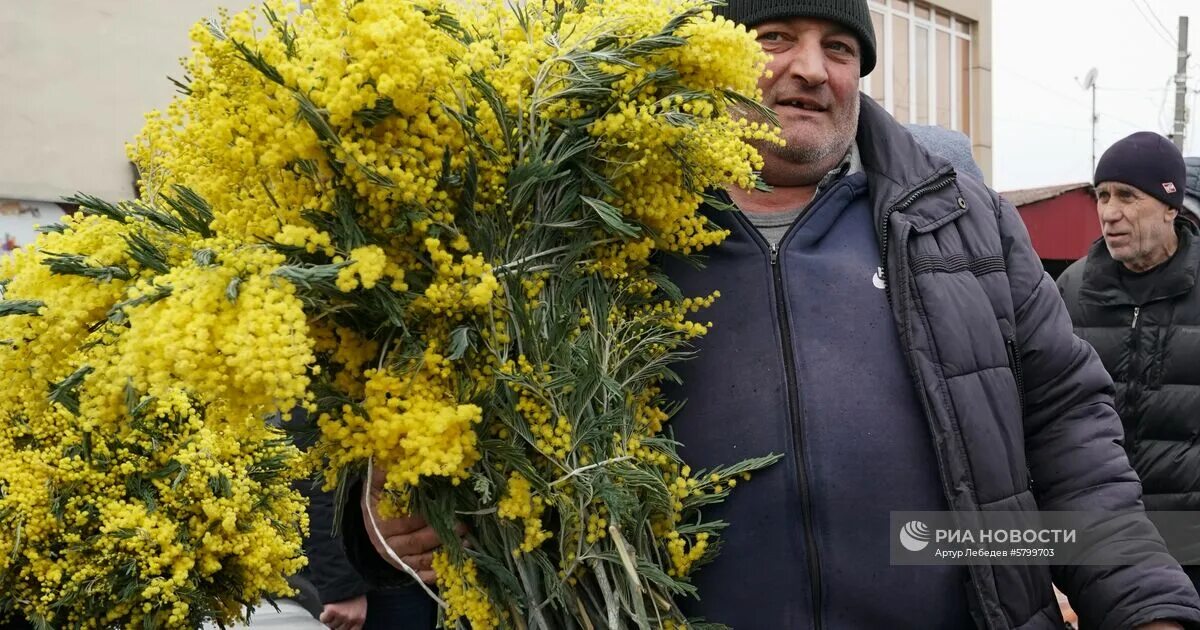 Мимоза Сицилия. Мимоза на рынке. Мимоза в Абхазии. Мимозы продают.