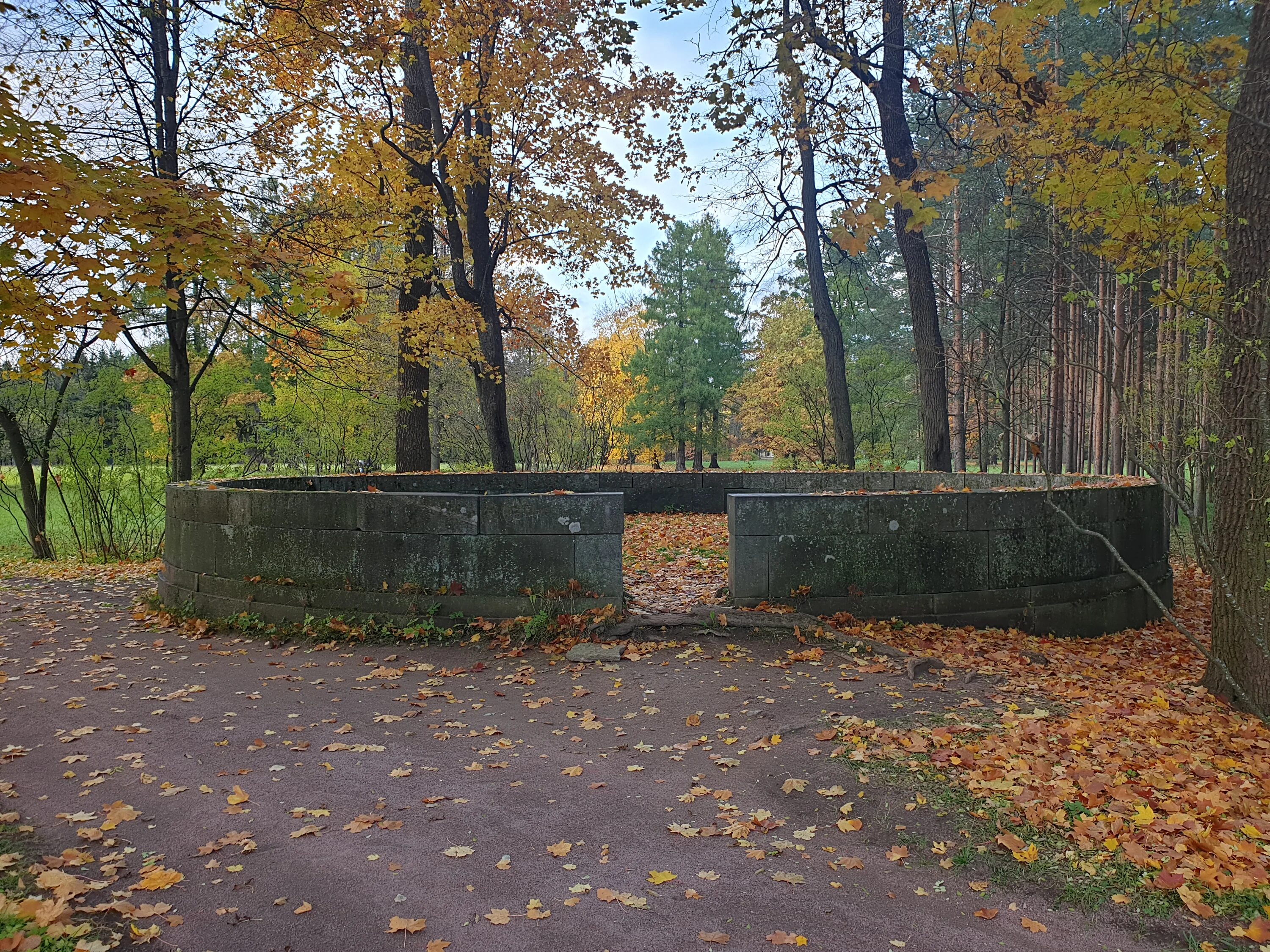 Царский поль