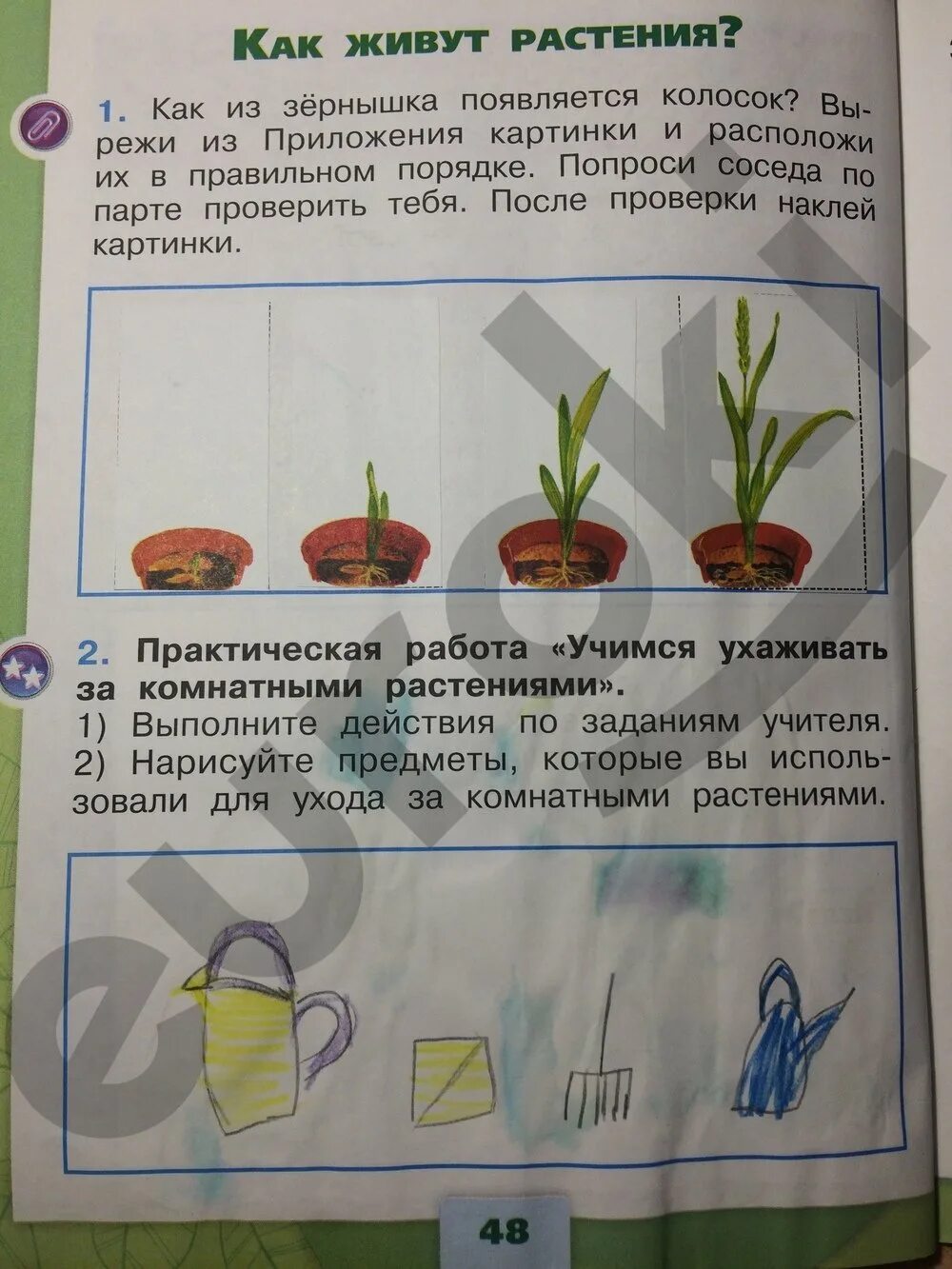 Окружающий мир страница 48 номер 1