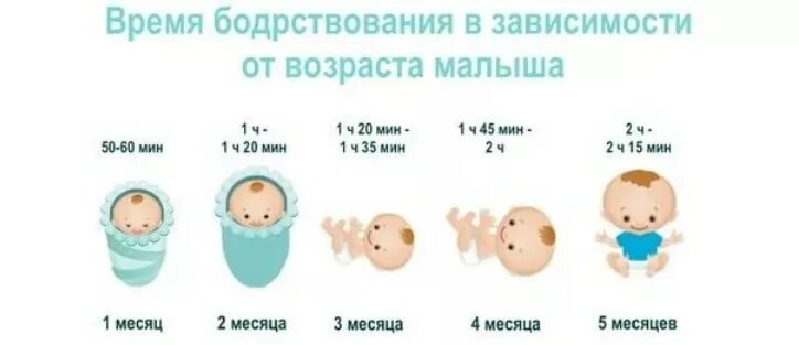 Первое слово в 2 месяца