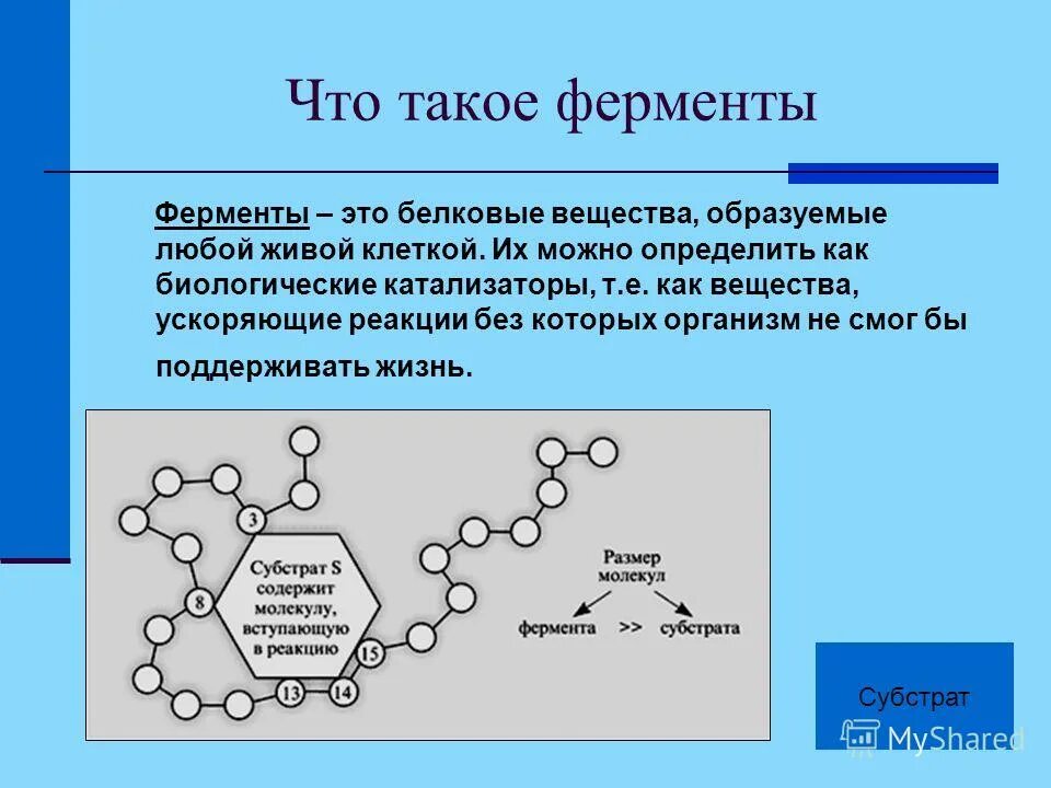 Природа вещества фермент. Ферменты химия 8 класс. Ферменты это. Ферие. Что представляют собой ферменты.