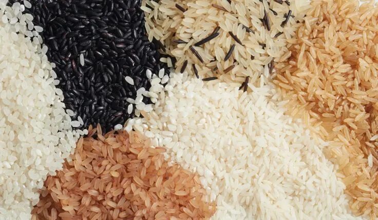 Different types of rice closeup :: Stock Photography Agency :: Pixel-Shot Studio