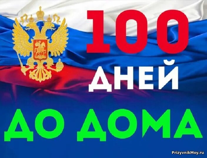 100 дней до дембеля картинки