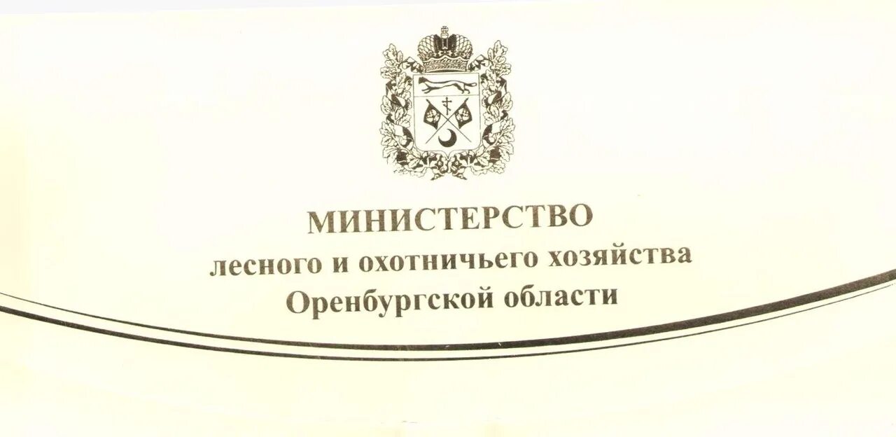 Сайт министерства лесного пензенской области. Министерство лесного хозяйства Оренбургской области. Министерство лесного и охотничьего. Министр лесного хозяйства Оренбургской области. Министерство лесного и охотничьего хозяйства Пензенской области.