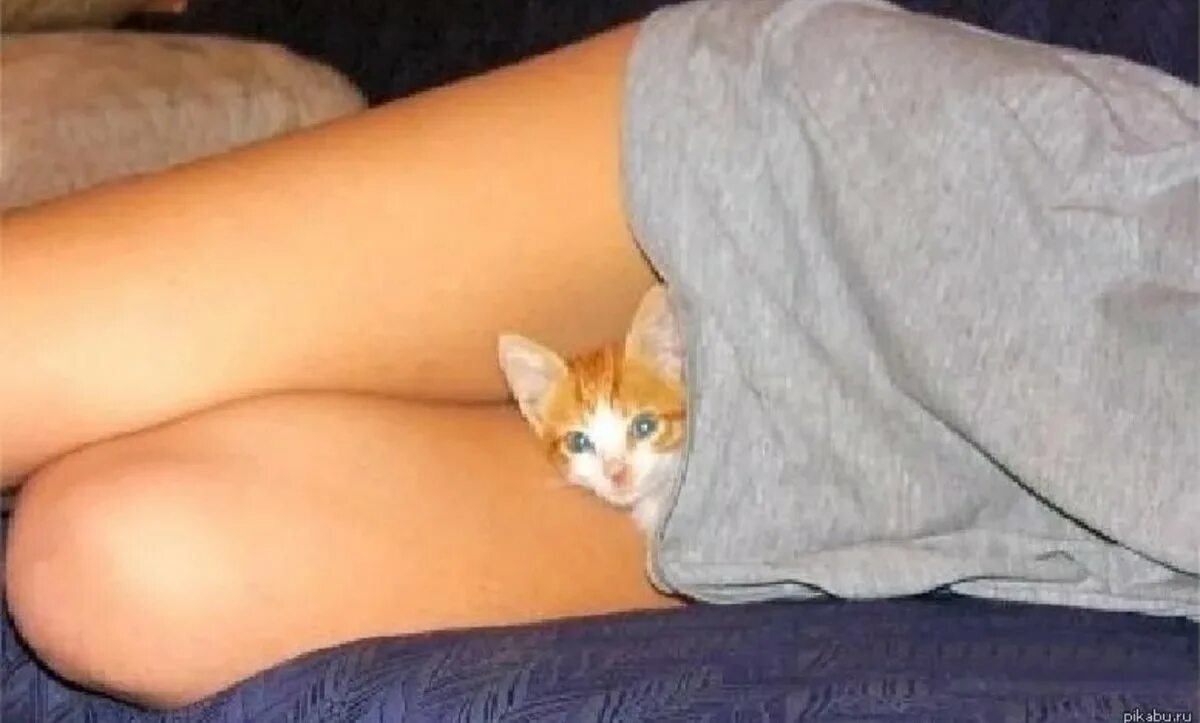 Девушка с котом на руках и голой киской между ног фото