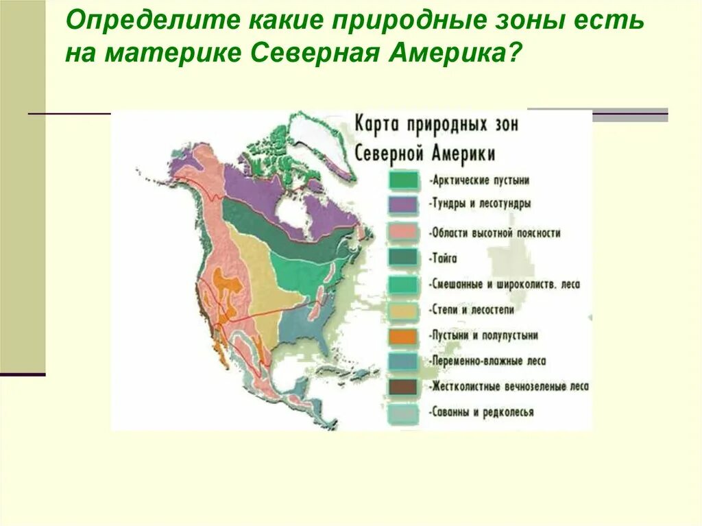 Карта природных зон Северной Америки 7 класс география. Климат и природные зоны Северной Америки. Природные зоны Северной Америки 7 класс география. Вечнозеленые леса природная зона Северной Америки.