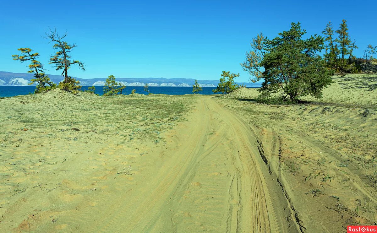 ольхон песчаная дорога. пляж дюны в сестрорецке. песчаный берег предложение. река песок. крутой песчаный берег.
