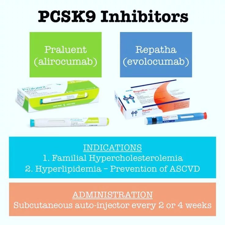 Pcsk9 Репата. Эволокумаб Репата. Pcsk9 inhibitors. Алирокумаб препарат. Ингибиторы pcsk9