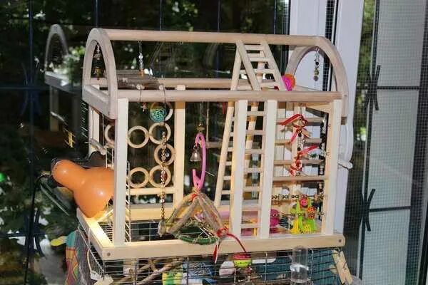 Игровой стенд для попугаев корелла. Стенд для попугая жако. Игровая площадка для попугая. Игровая для попугая кореллы. Игровая для попугая кореллы.