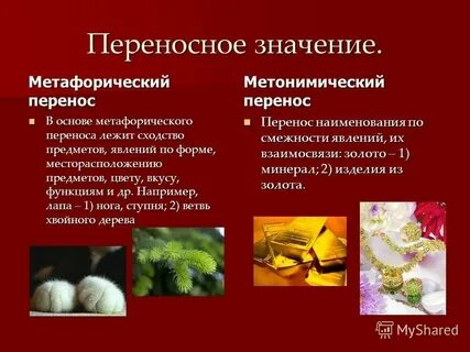 Переносное наименование животных и растений