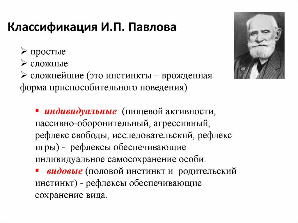 Классификация инстинктов по и.п.Павлову. Классификация рефлексов по Павлову. Классификация безусловных рефлексов. Классификация безусловных рефлексов по Павлову. Формы поведения безусловный рефлекс