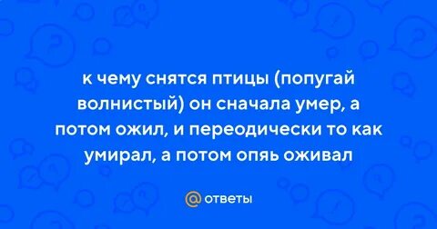 К чему снится голубь во сне мужчине